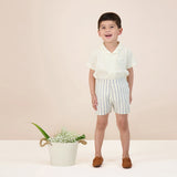 Linen Stripe Pull on Shorts