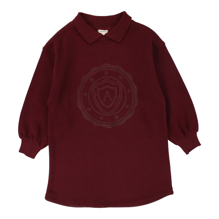 Logo Sweatshirt Dress (READ DISCLOSER)